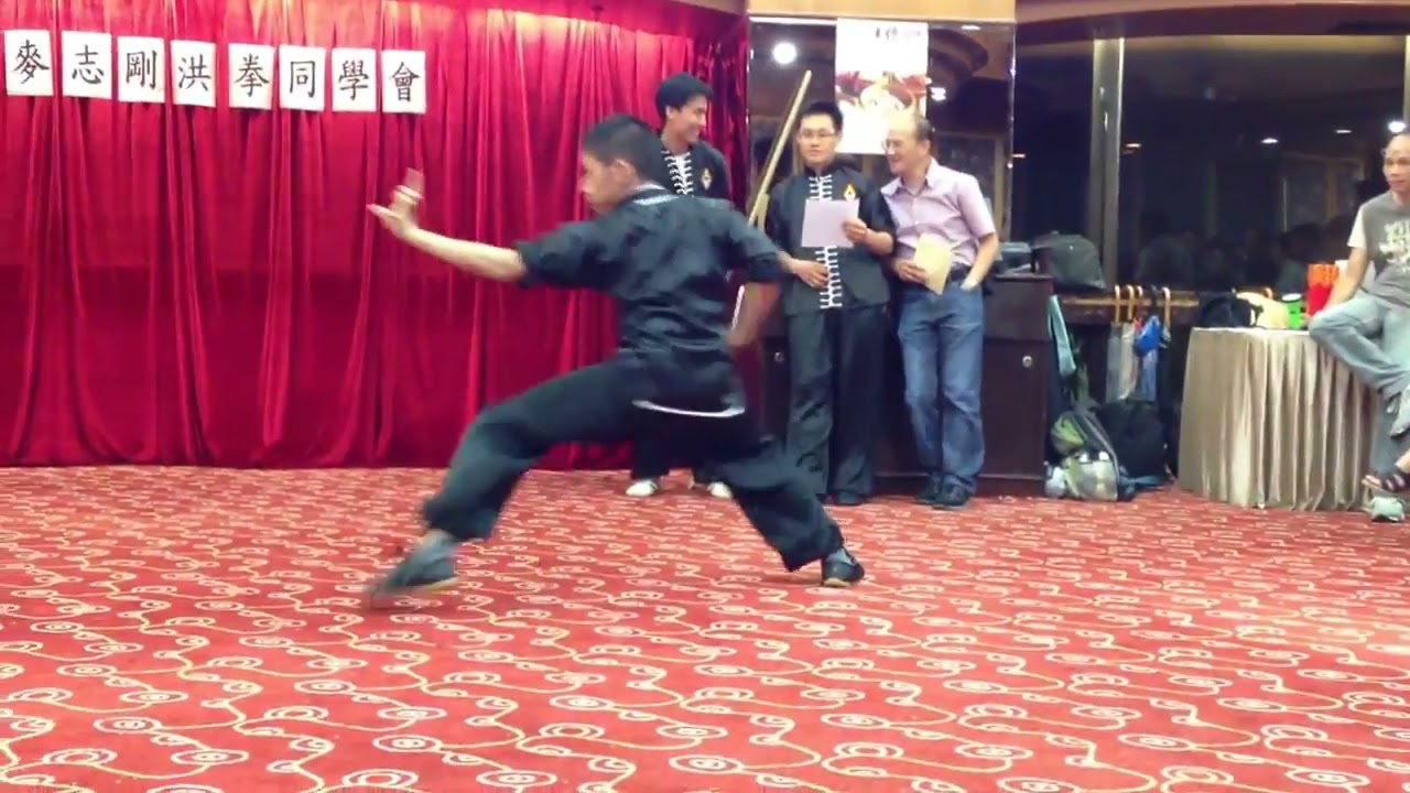 2013 麥志剛師傅壽辰   虎鶴雙形 Fu Hok Sheung Ying Kuen