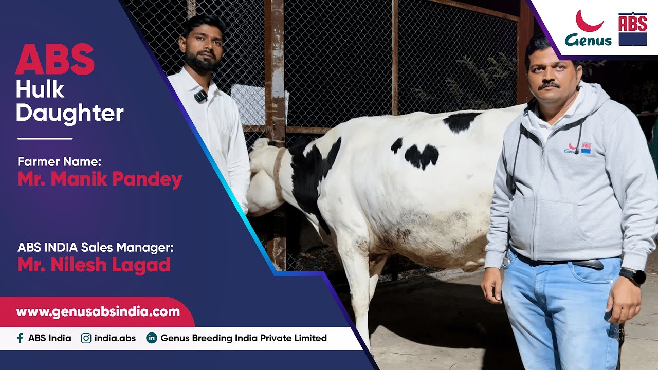 Dairy Excellence of Mr. Manik Pandey's ABS Hulk Daughter