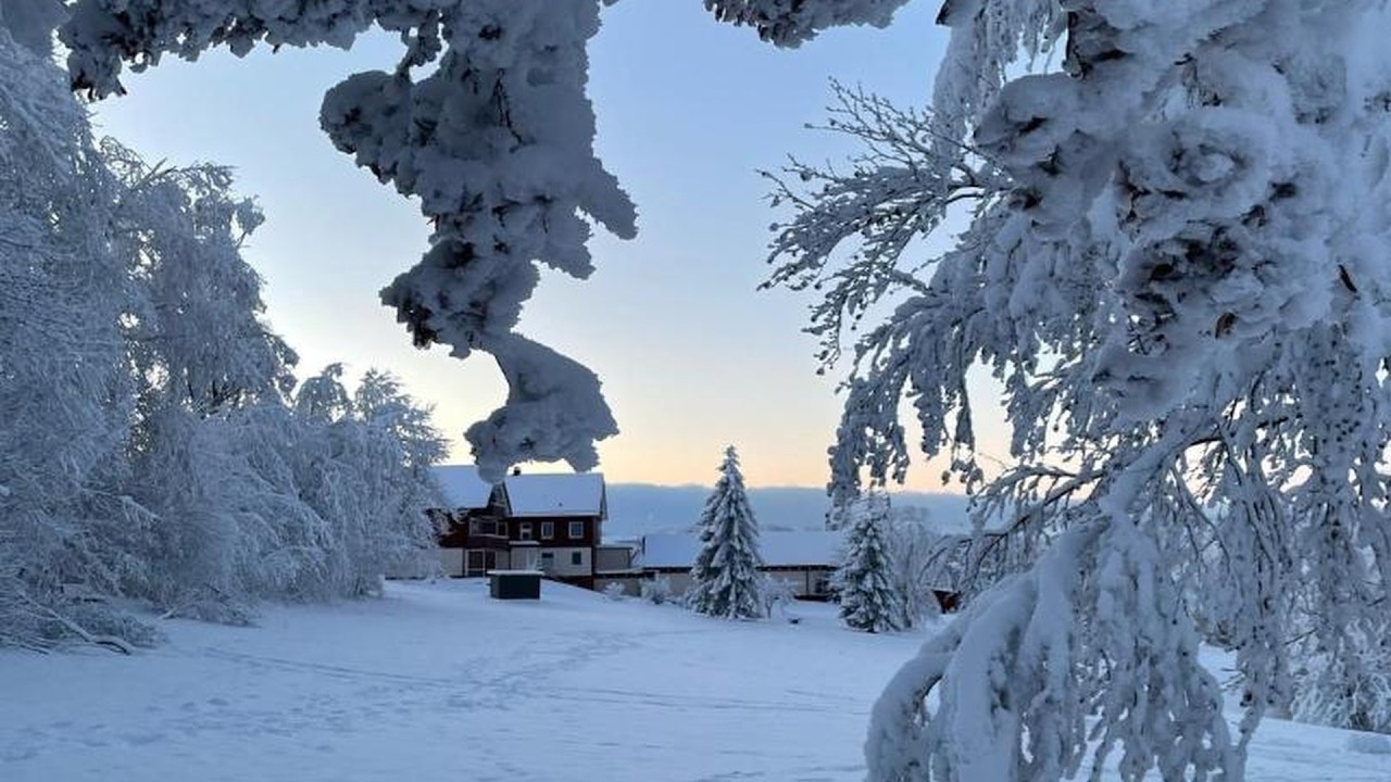 Gemutliche Ferienwohnung Harz Braunlage Hohegeiß | Oberharz am Brocken, Germany | Hotel Review 🛏️
