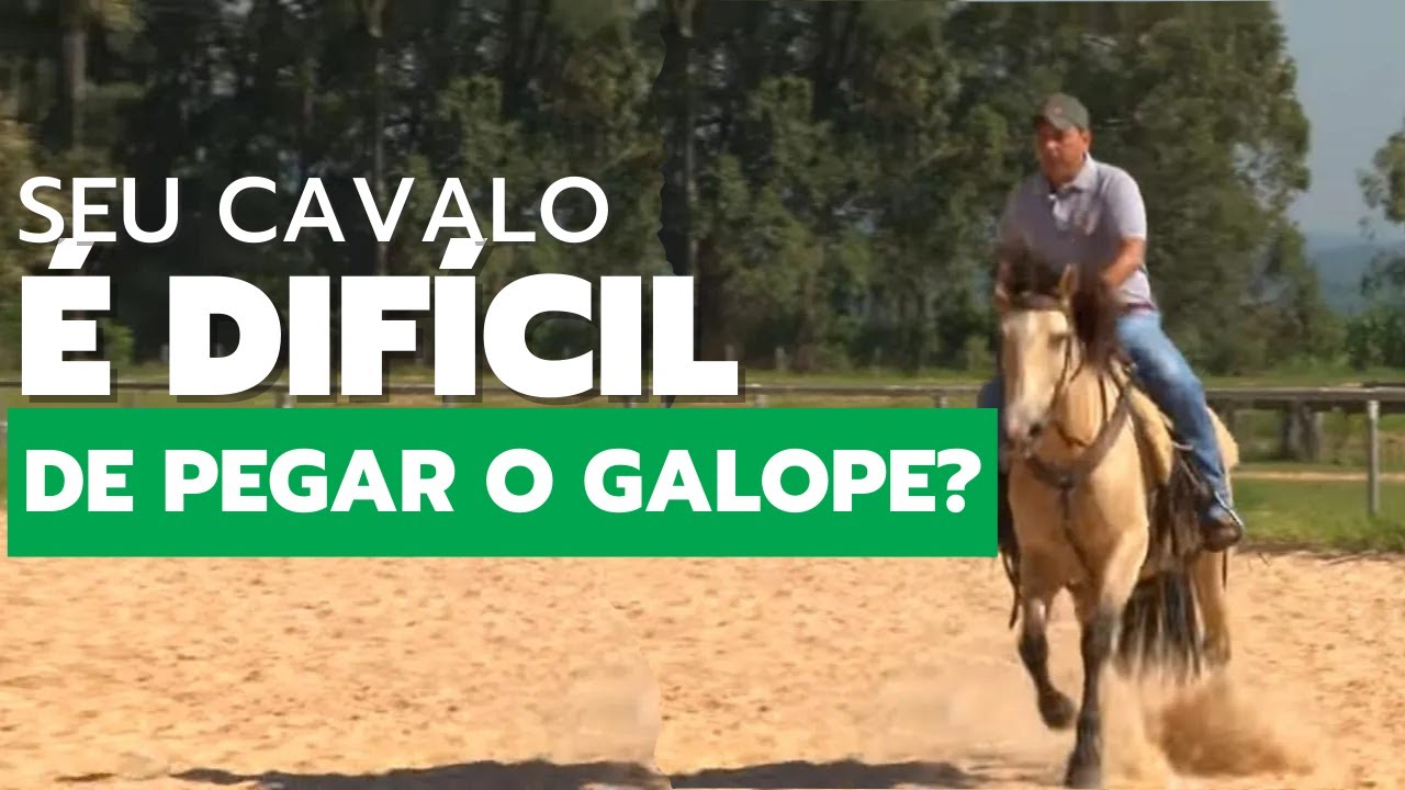 Técnica simples para fazer a transição do trote para o galope com facilidade