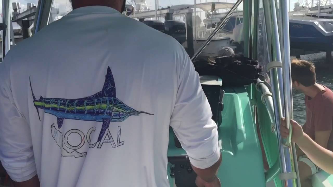 Shark diving with The Local Brand