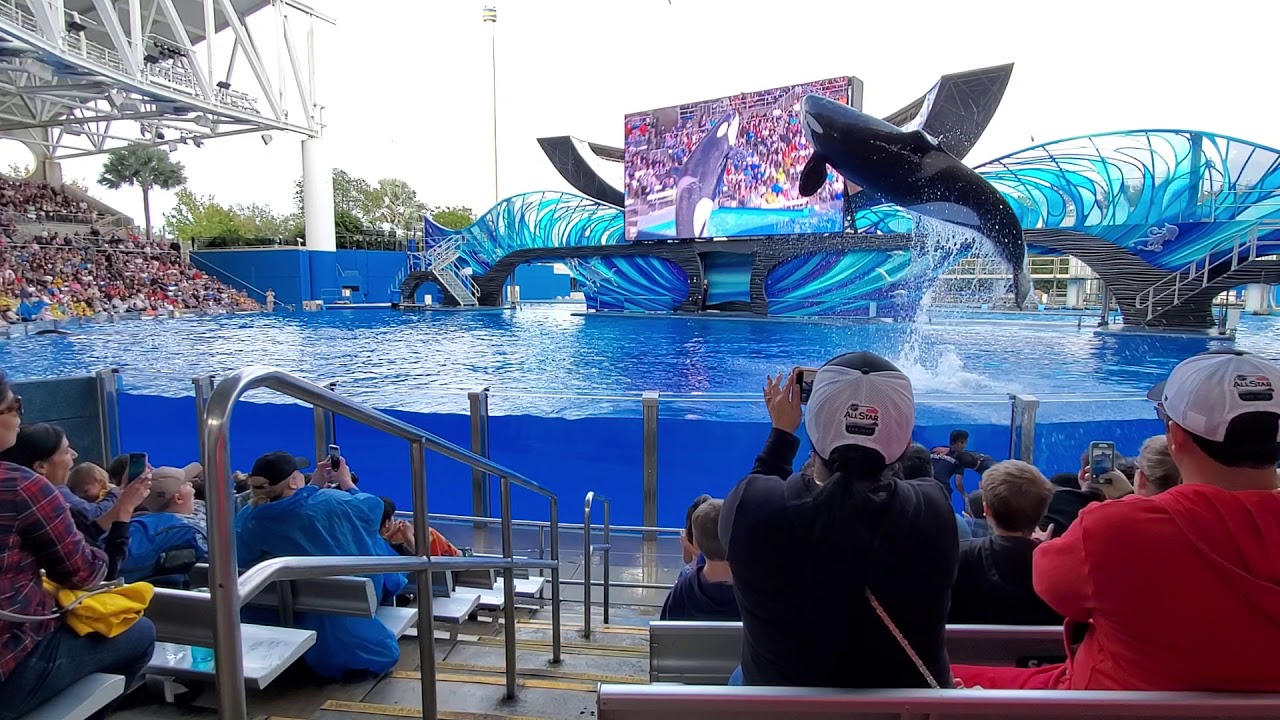 SeaWorld Orlando Orca Encounter 12/31/19