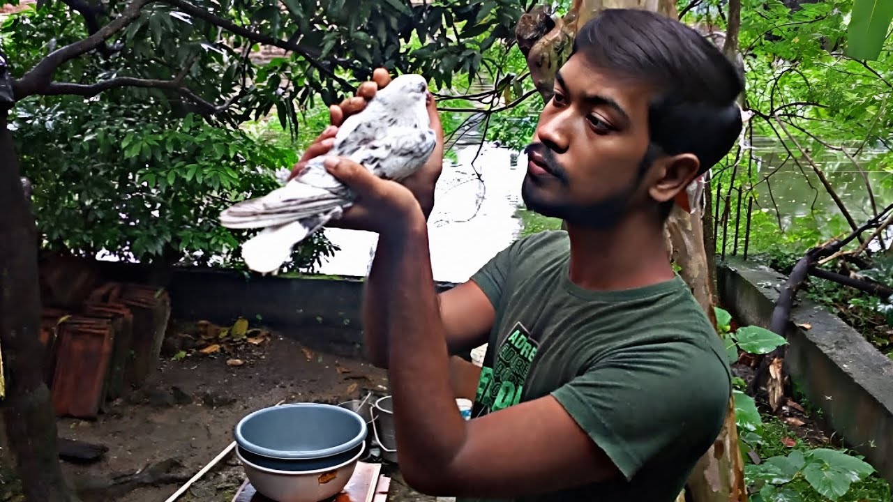 মস্তান এর ঘাড় টাল রোগ হয়ে গেলো 😔 |pigeon neck twisting disease | Rishis pigeons
