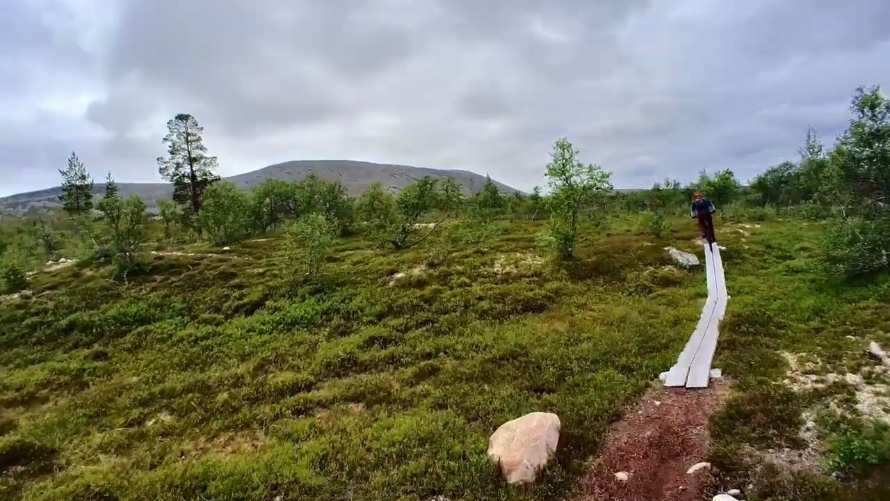 MTB Lofsdalen, Vildmarksleden