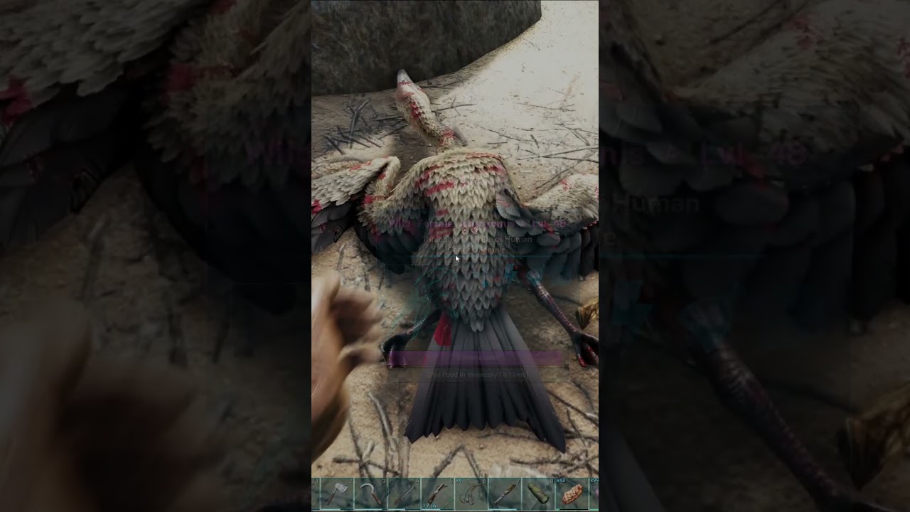 How To Tame A Ichthyornis In Ark Survival Evolved #shorts #ark