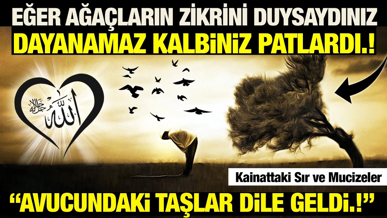 Kainatın Allah'ı Zikredişi. Eğer Duysaydınız Kalbiniz Patlardı.! ZİKRİN MÜTHİŞ SIRLARI VE MUCİZELER