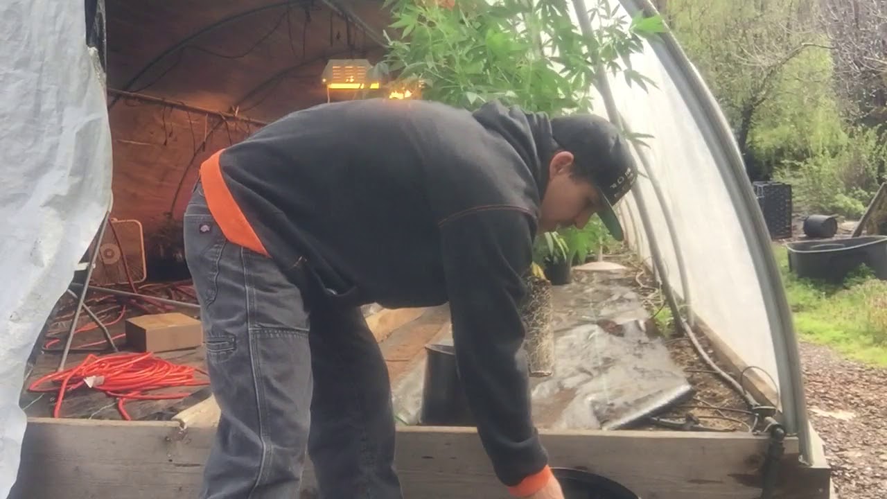 Hemp Fiber Grow Pots