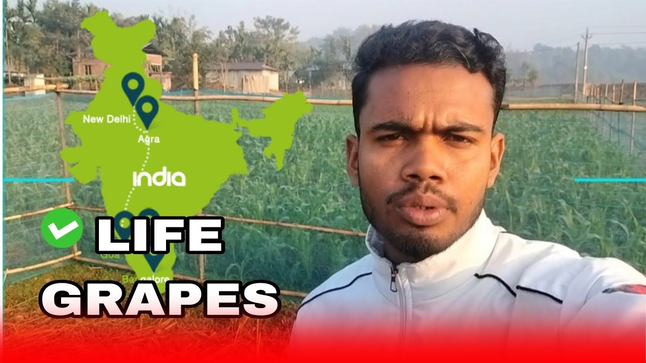 Life Graph জীবনে যদি পড়াশোনা ভালো না লাগে পড়াশোনা বাদ দেও। অনেক গুরুত্বপূর্ণ বিষয়। 