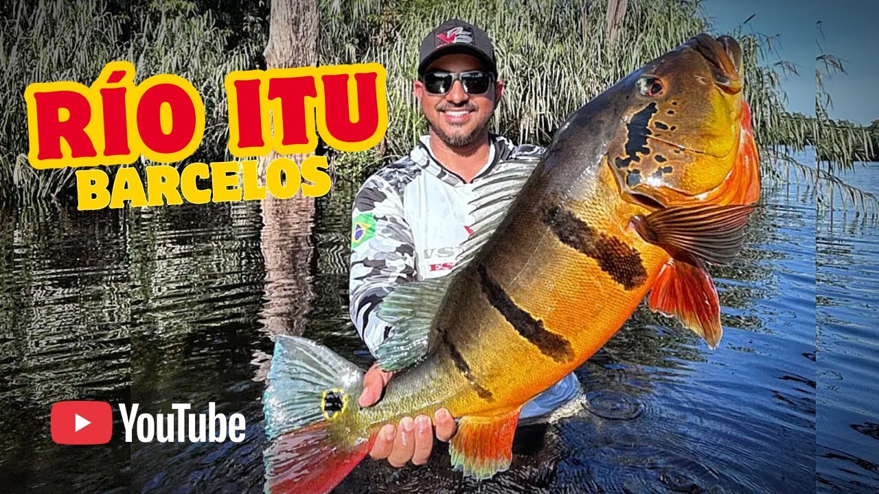 RIO ITU/BARCELOS OPERAÇÃO VS PESCA ESPORTIVA