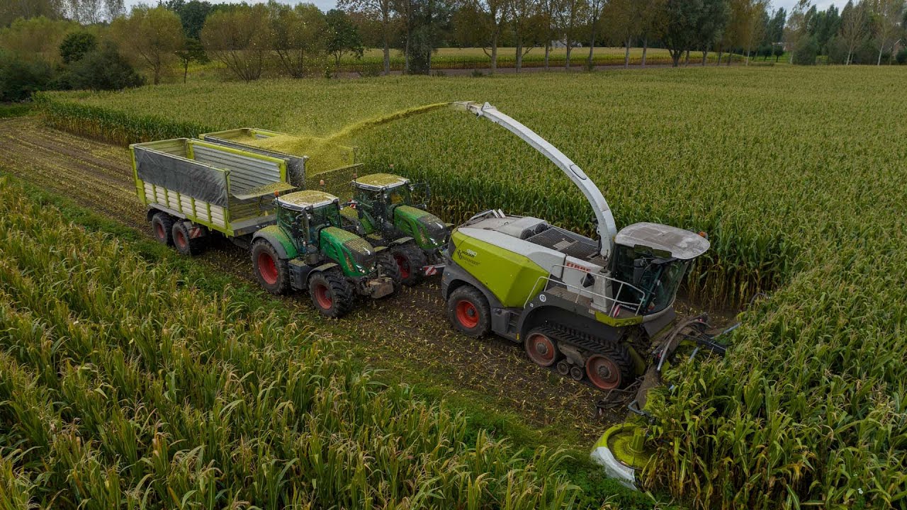 Claas Jaguar 990 Terra Trac | Maize 2023 | Jennissen | 6x Fendt