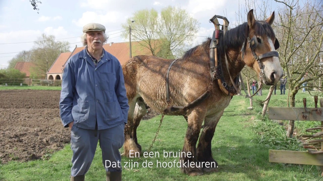 Zomerland