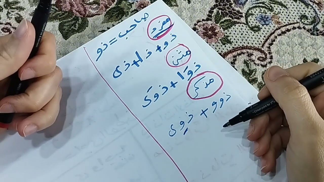 تدريبات المنادى تانية إعدادي 