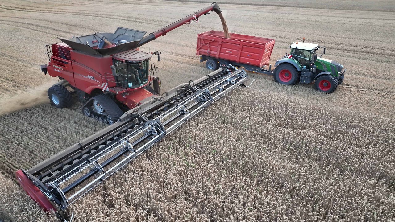 Case IH 9260 Axial-Flow with 50ft. wide MacDon FD250 Header cutting Wheat | Wheat Harvest 2024