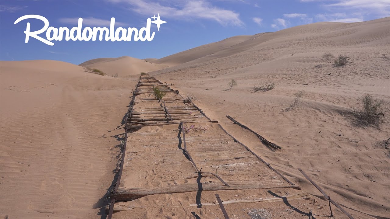 The lost Wooden Road & The Desert View tower - Forgotten California