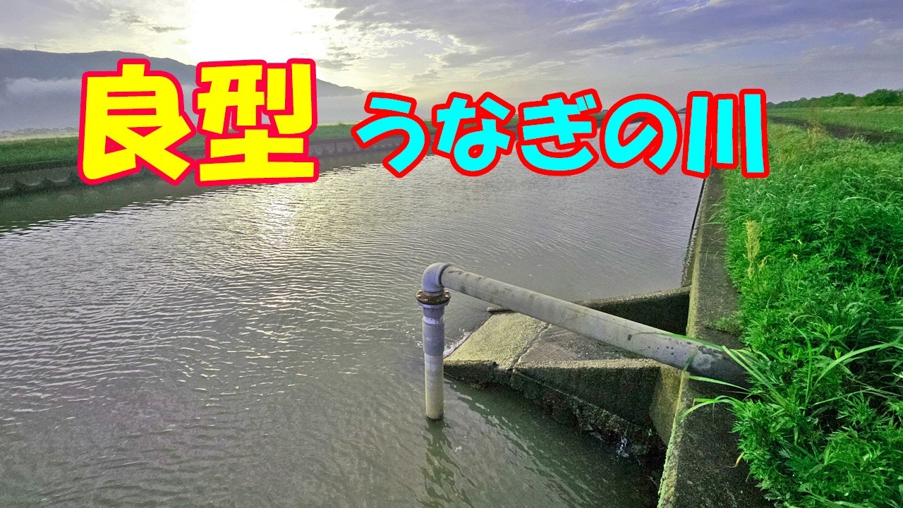 たまたま雨上がりでうなぎ釣りしてみた結果・・・　【うなぎ穴釣り】