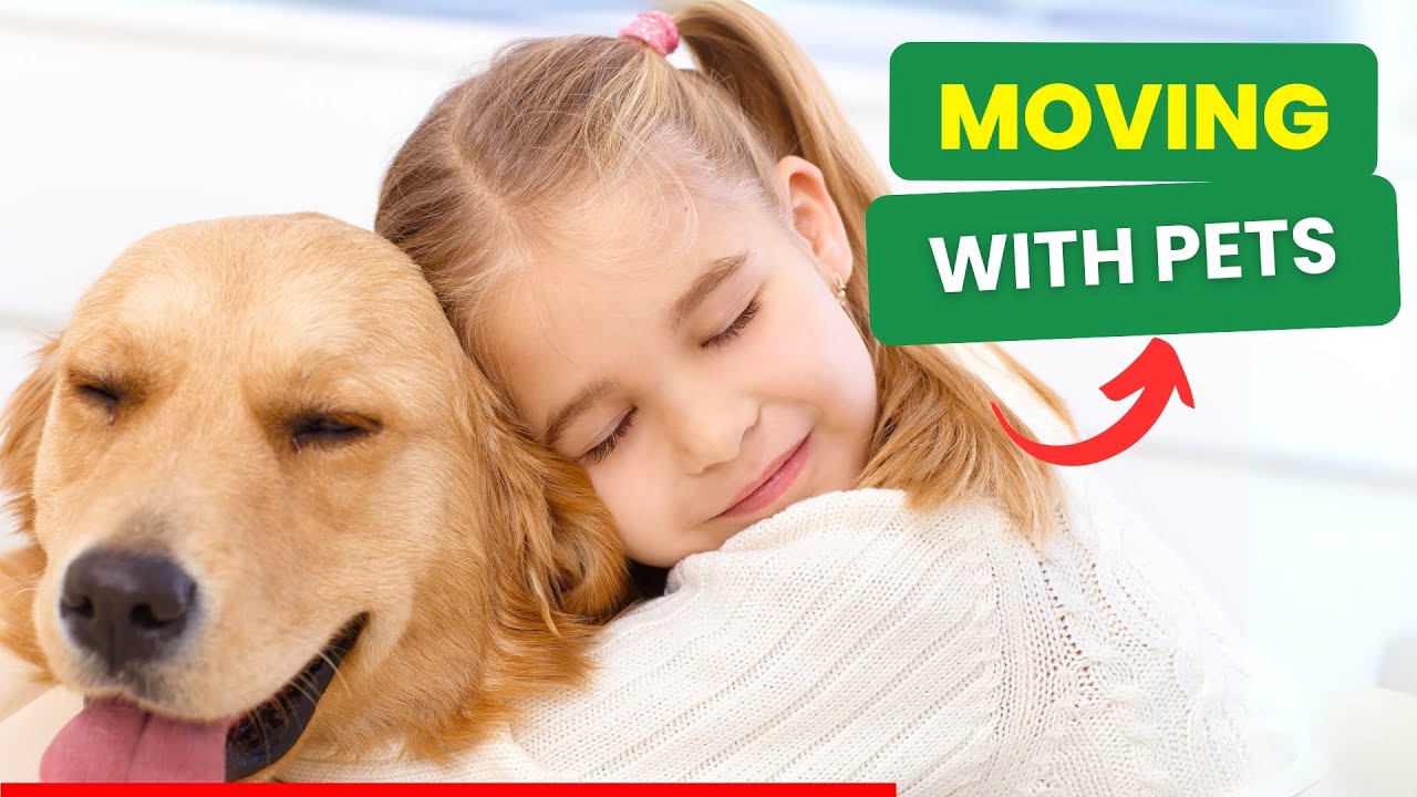 Moving With PETS | Ruff & Ready Moving | Best Moving Company  
