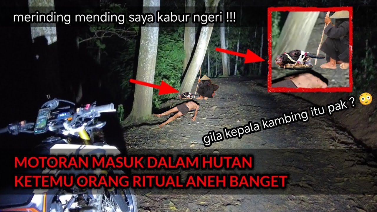 2025 MASIH ADA ORANG KAYAK GINI ? JAM 1 MALAM DI TENGAH HUTAN BIKIN MELONGO 😱