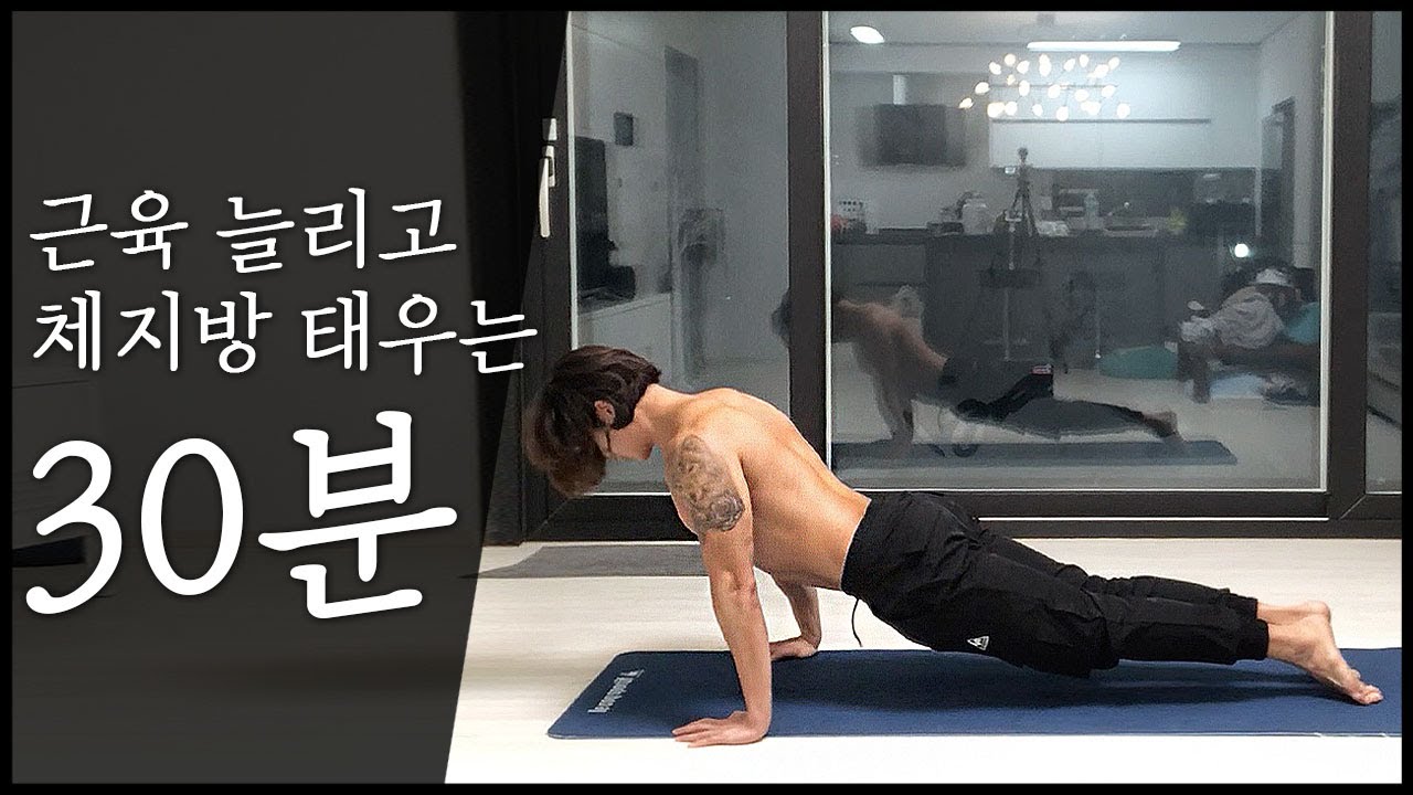 [전신 운동] 중급자를 위한 근력은 기르고 체지방은 없애는 홈트(층간소음 X)