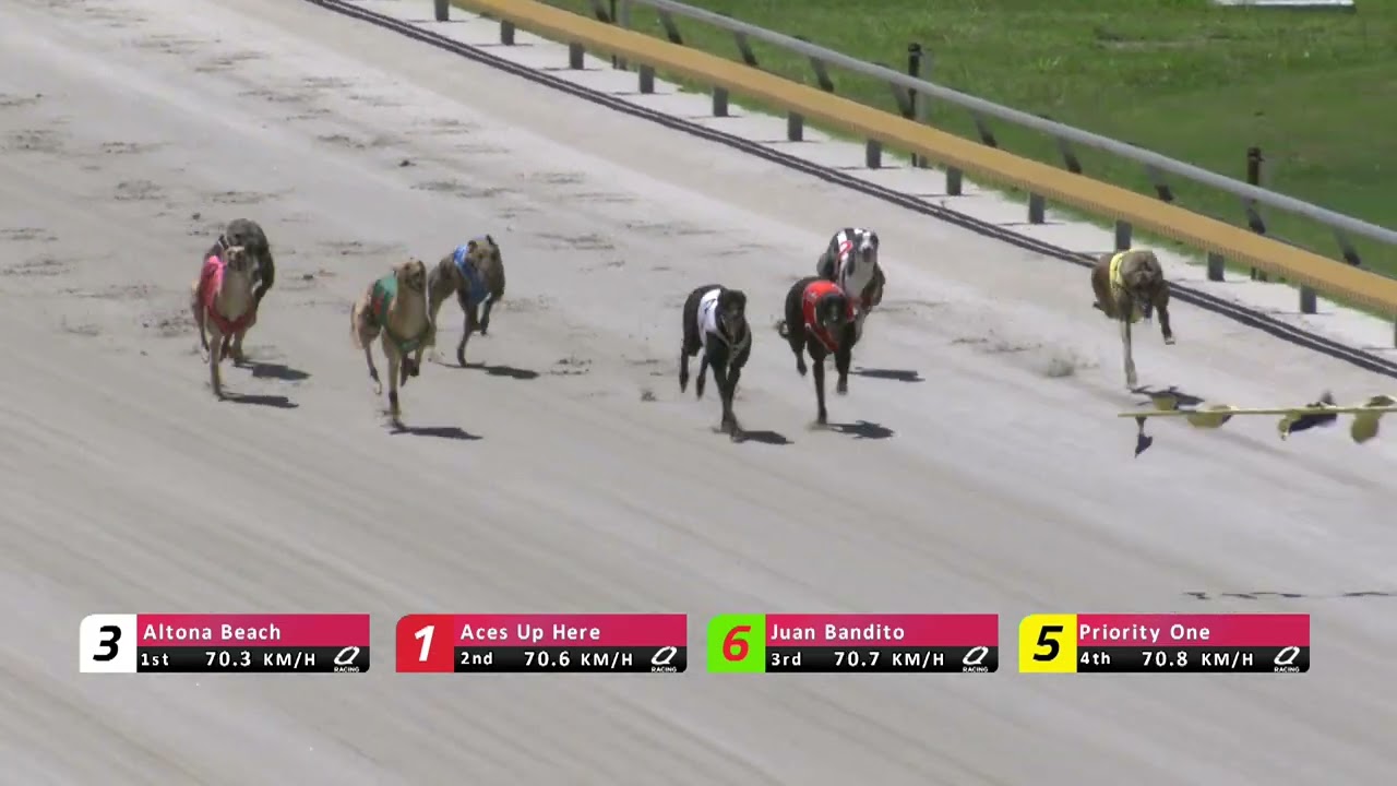 Q-Straight-12032026-Race-2
