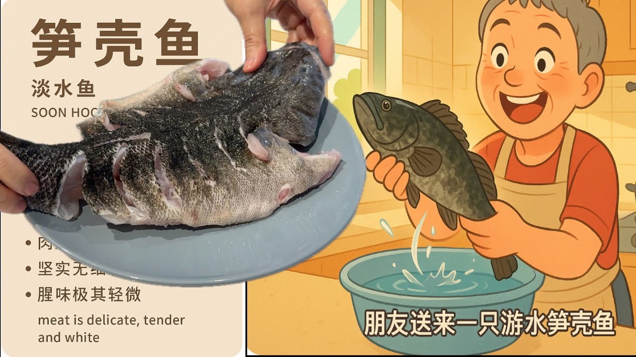 笋壳鱼 鱼中贵族 淡水却无土腥味 阿婆这么超嫩【Garden Time 田园生活分享】2025 6