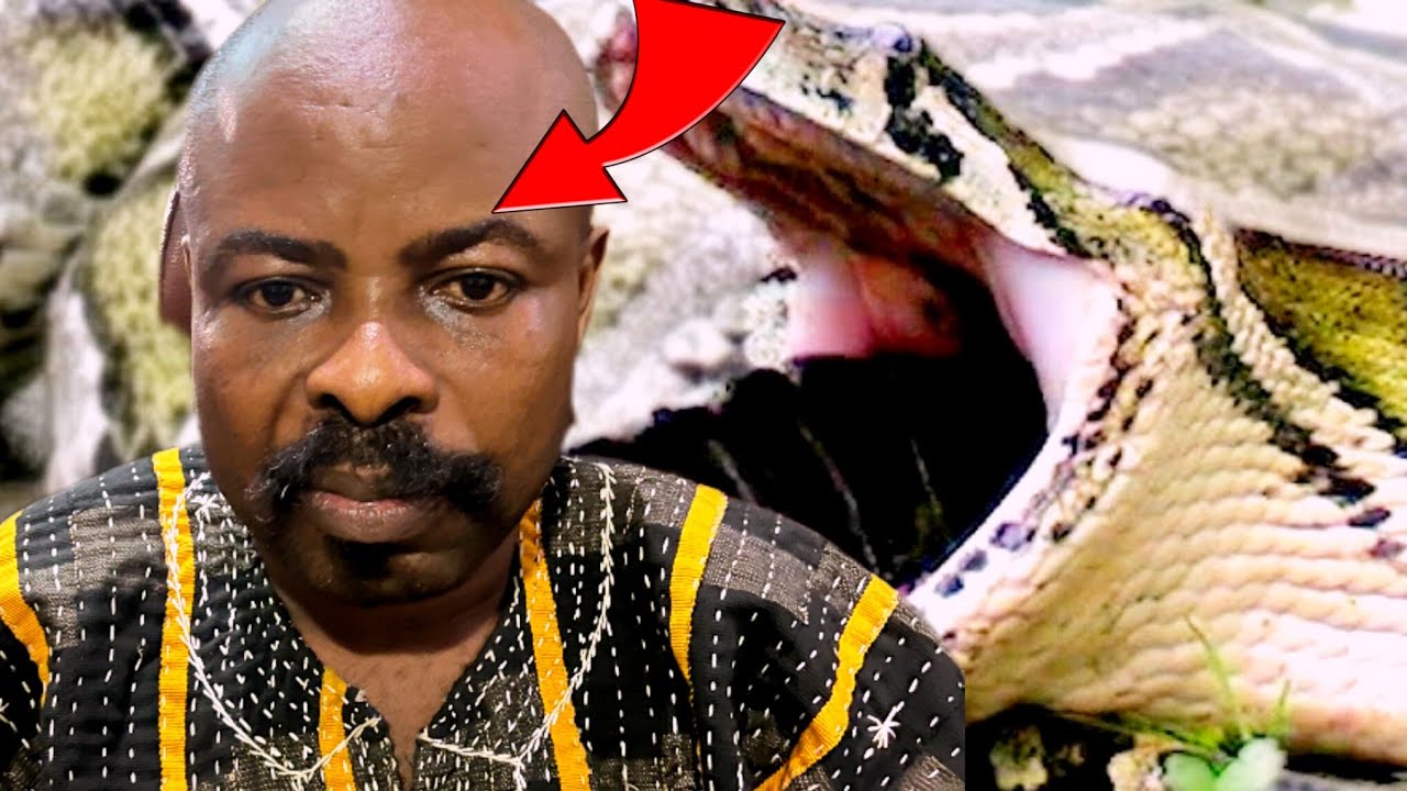 Ɔbɔfoɔ ayɛ ha ma ha ayɛ no)  Hunter Togbe  Rober was swallowed by a huge python but survived 