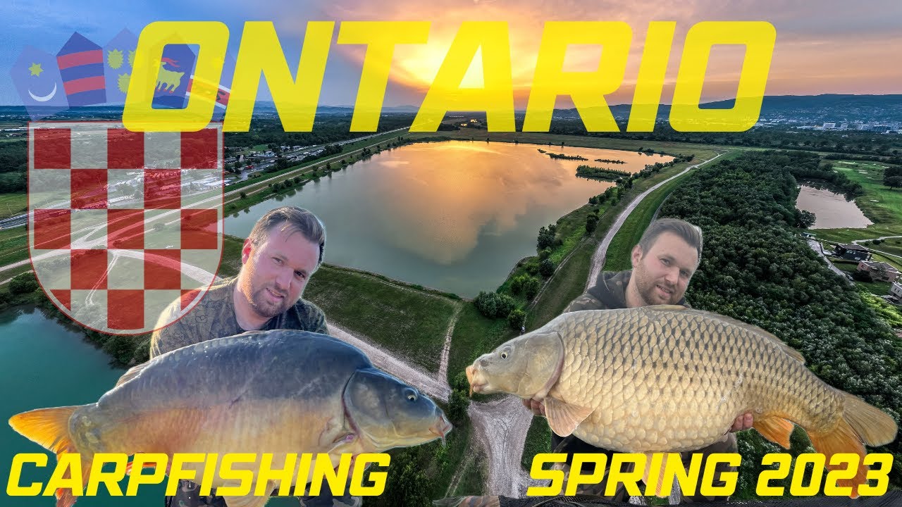 Spring Carpfishing Lake Ontario 2023 / Pecanje Sarana Jezero Ontario / Karpfenangeln Ontario Zagreb