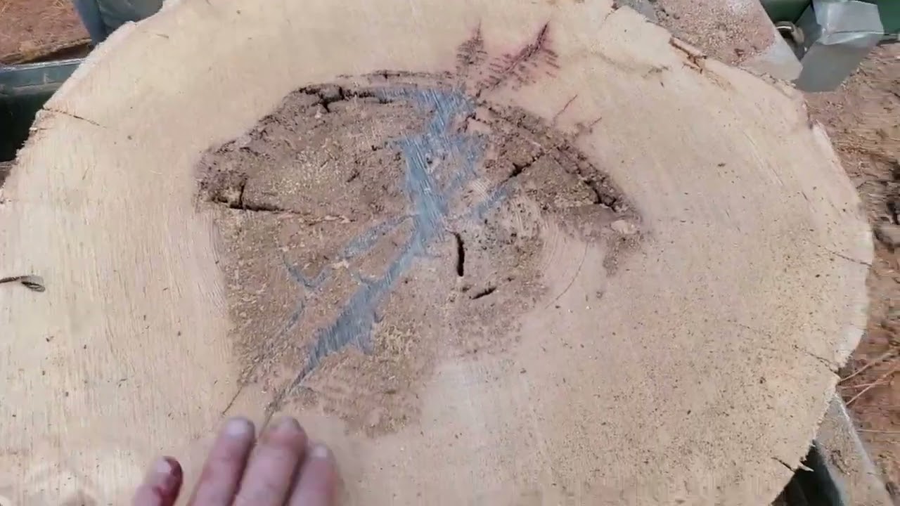 5 Minutes of Sketchy Bandsaw Action