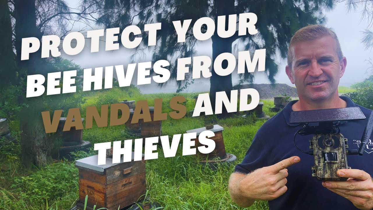 How we protect our hives and apiaries from vandals and thieves