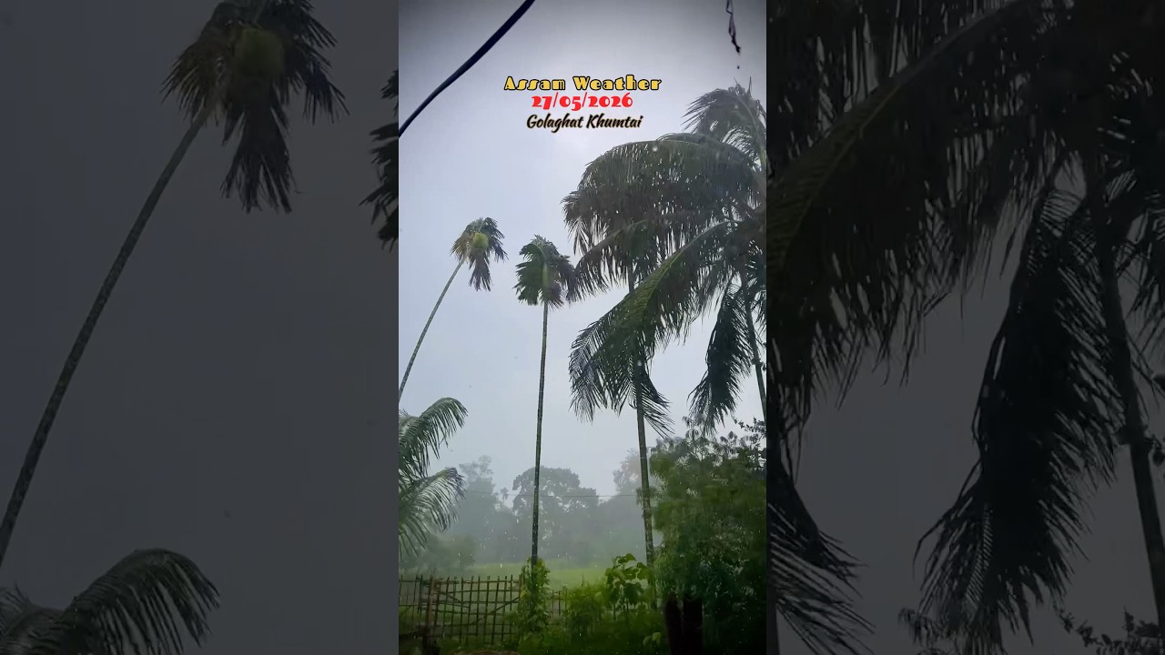 Assam weather #shorts #trending #viral