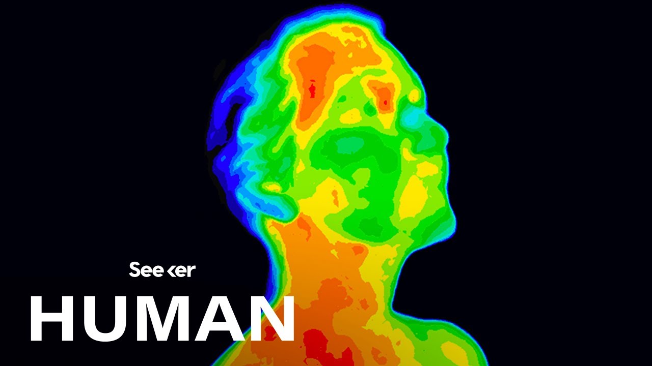 Why Do We Need Hormones?