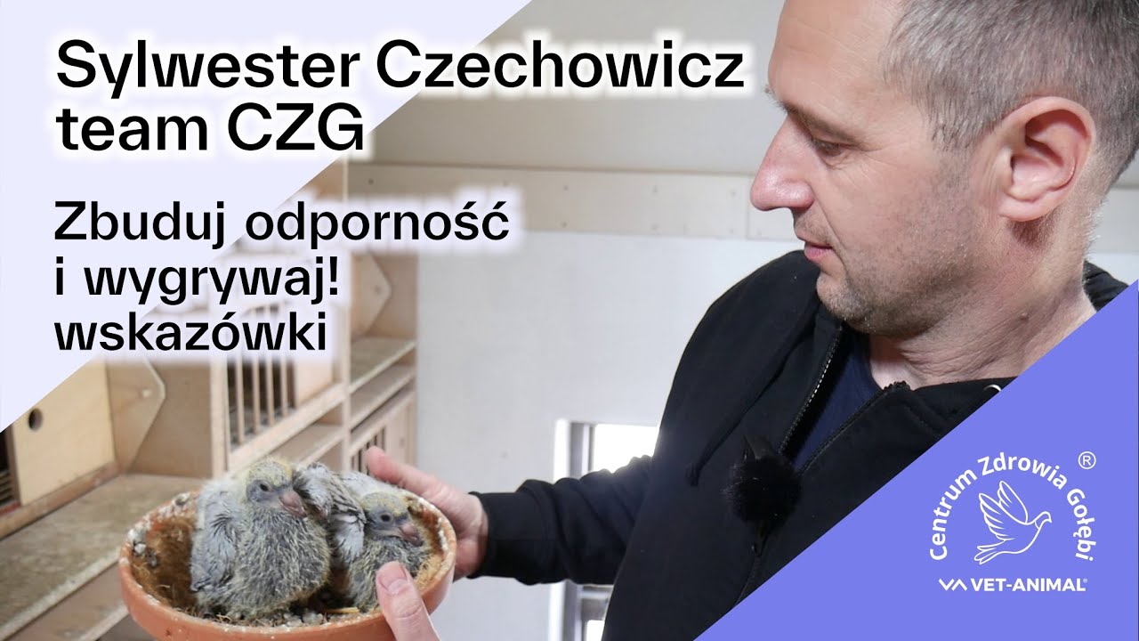 SAL-VET + COL-VET wspiera ODPORNOŚĆ, SILVECO+ Gołąb chroni przed wirusami, bakteriami, grzybami
