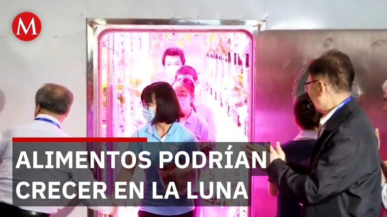 Logran cultivar garbanzos con suelo lunar simulado y abren puerta a alimentos en la Luna
