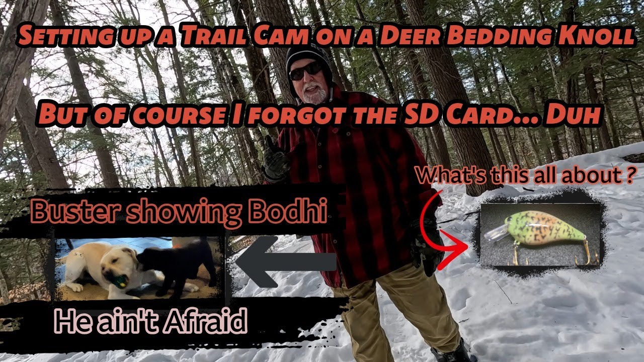 Snowshoeing, setting out a Trail Cam & Buster update