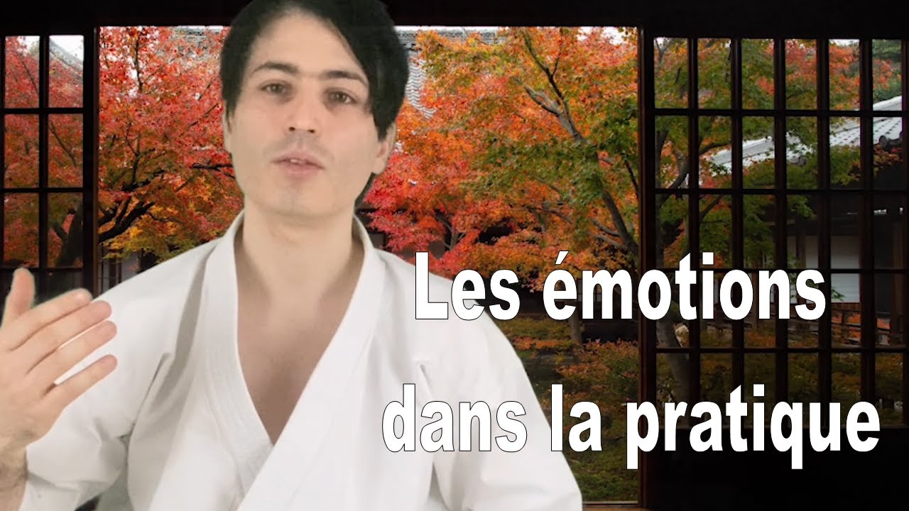 Les émotions dans la pratique martiale