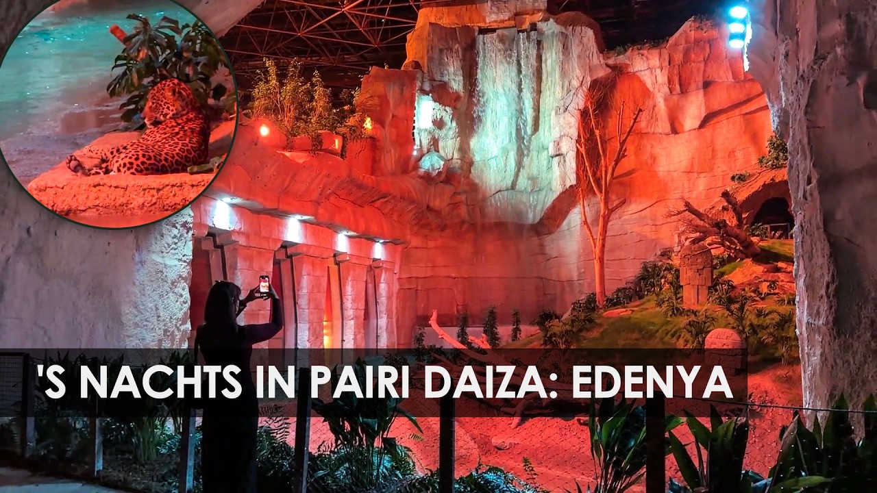 Hoe is het om de nacht door te brengen in 's werelds grootste tropische kas? (Edenya - Pairi Daiza)