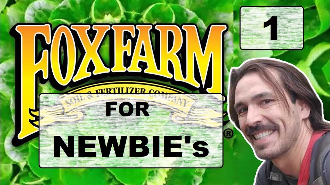 Fox Farm For Newbies - 