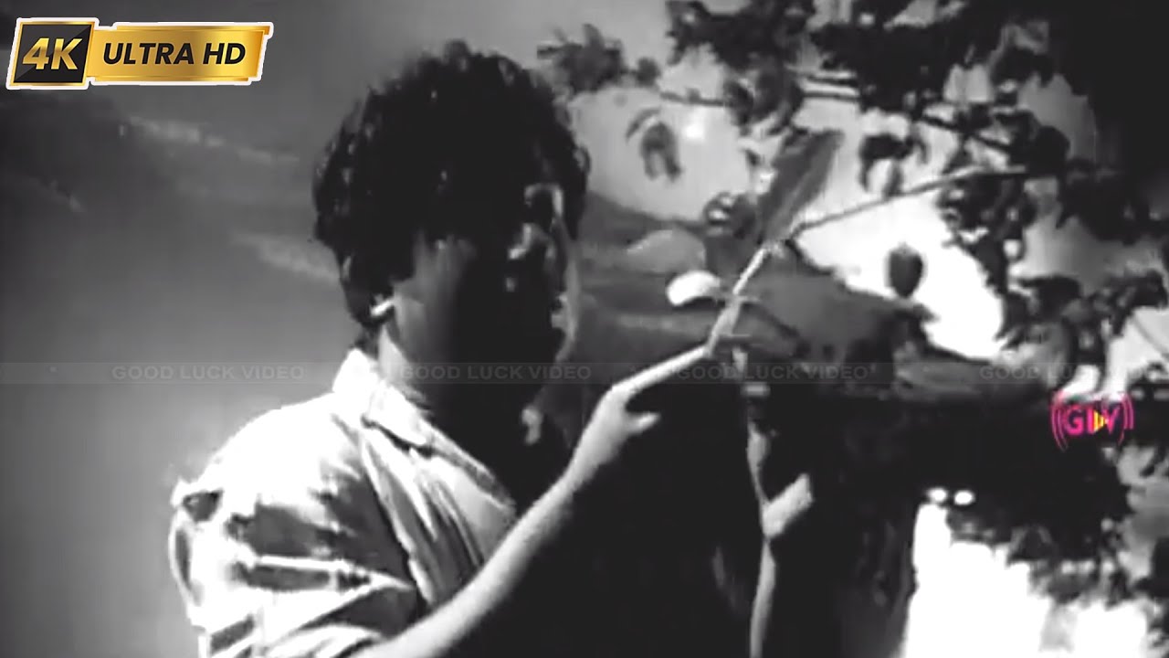 என்றும் துன்பமில்லை எந்த ஊரும் இல்லை பாடல் | Endrum Thunbamillai song | Tms | Sivaji | Punar Jenmam