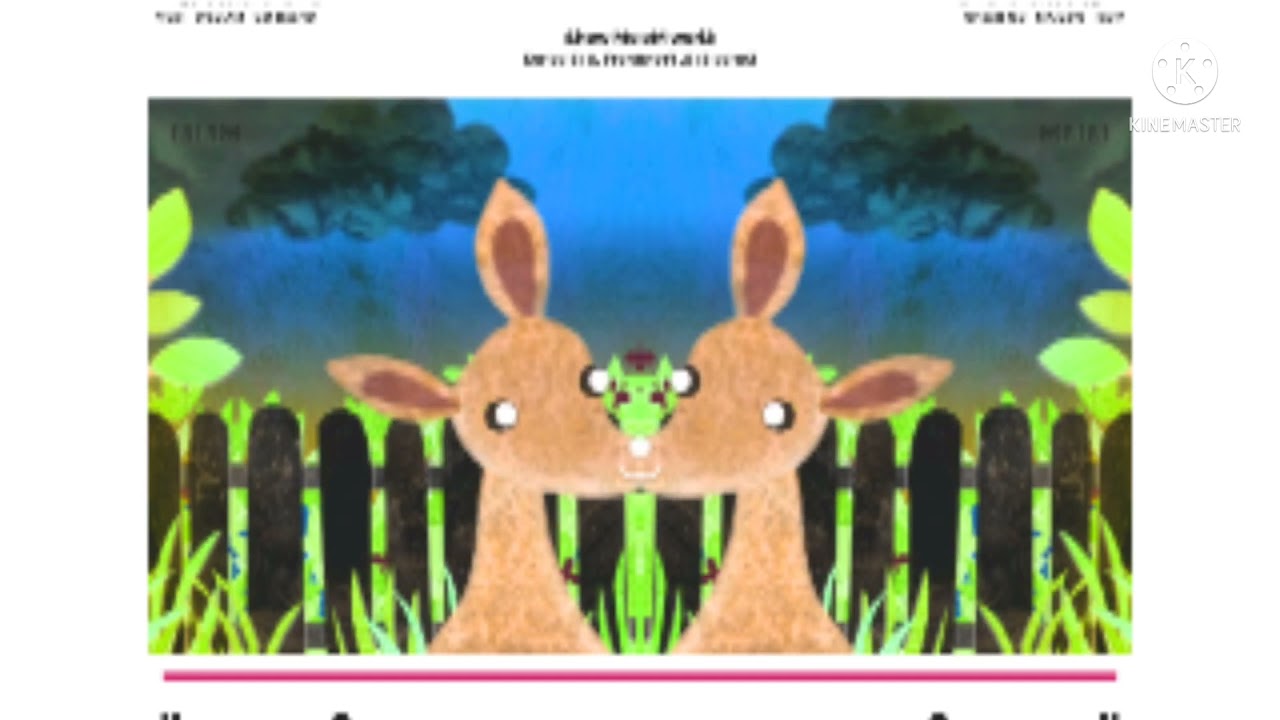 Show me show me  Kangaroo confusion￼