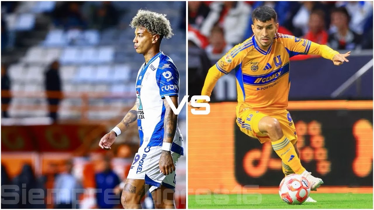 Pachuca vs Tigres Jornada 14 Liga MX