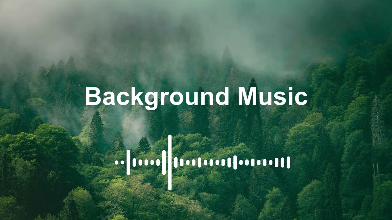 Lost in the Echo - Chill Hip Hop R&B Playlist | trap hi-hats | lo-fi drums.