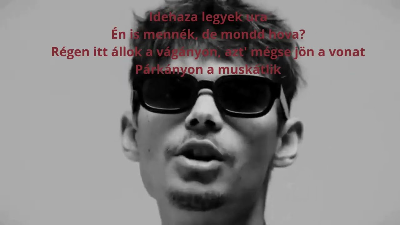 Mehringer x BALKAN VIP, sosehol  - SZAR AZ ÉLET (dalszöveg)