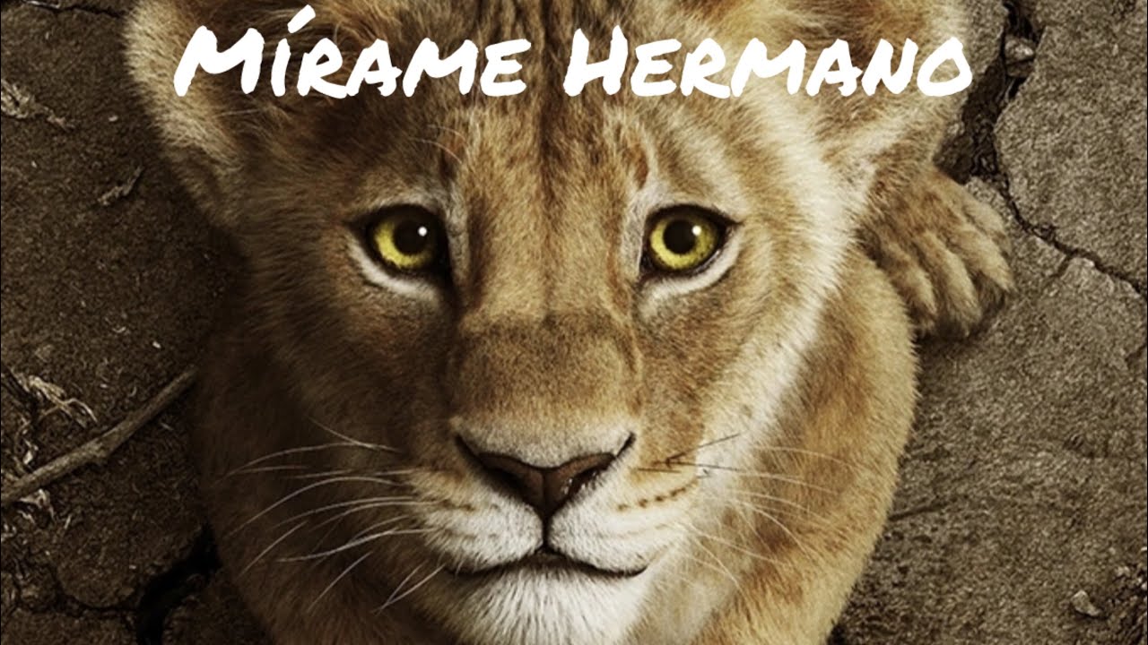 Mírame hermano (MUFASA y TAKA)