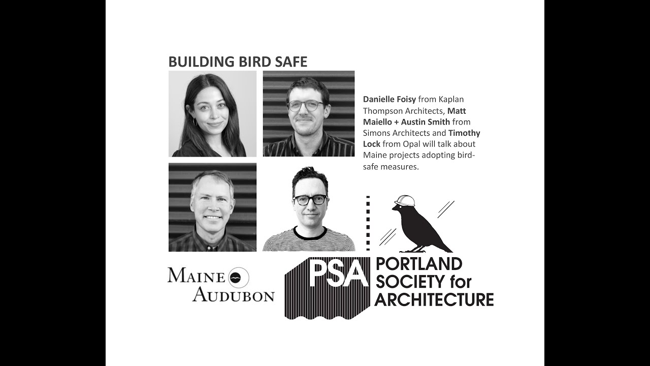 Building Bird Safe | Danielle Foisy, Matt Maiello + Austin Smith