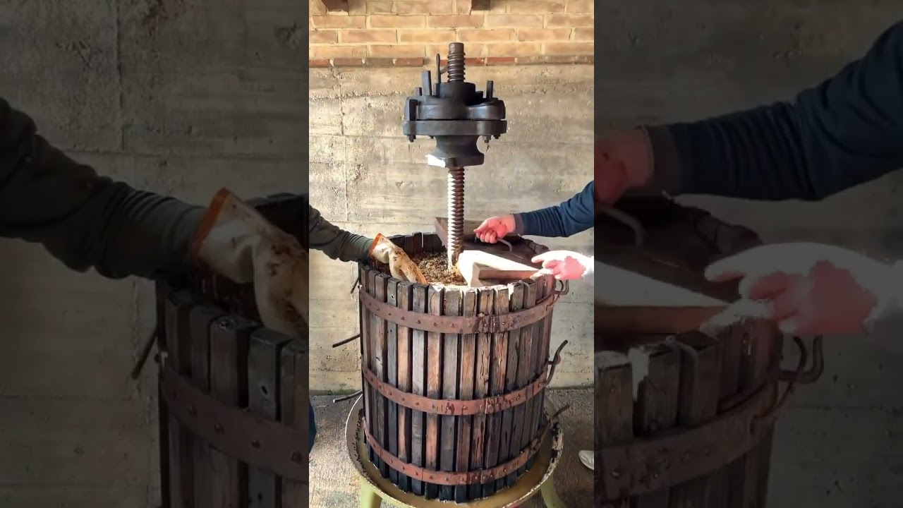 Vinosanto Making | Winemaking and How Wines is Made! #shorts #fyp