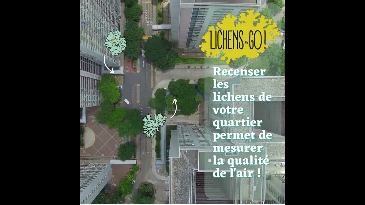 Lichen GO ! Projet de Sciences participatives