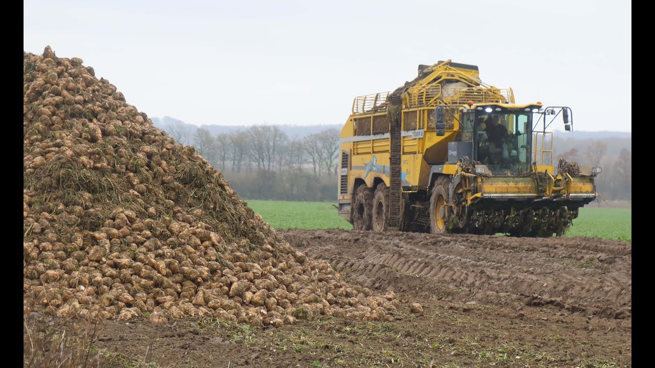 Bregentved roeoptagning 29 november 2025