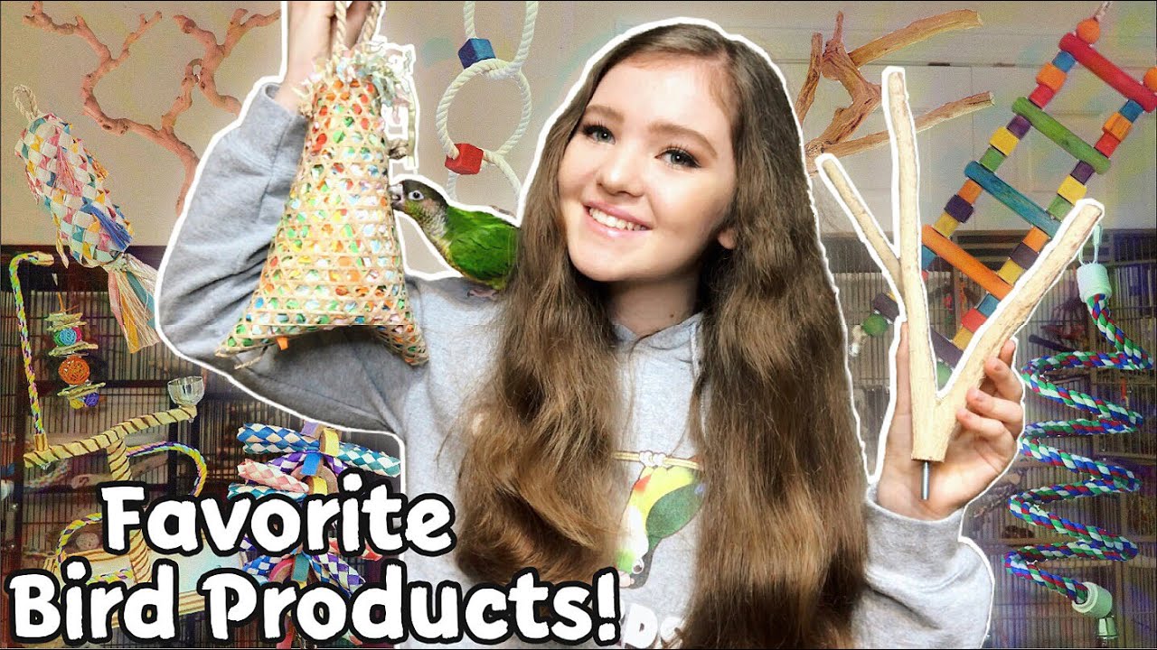 10 любимых продуктов для птиц, без которых я не могу жить!