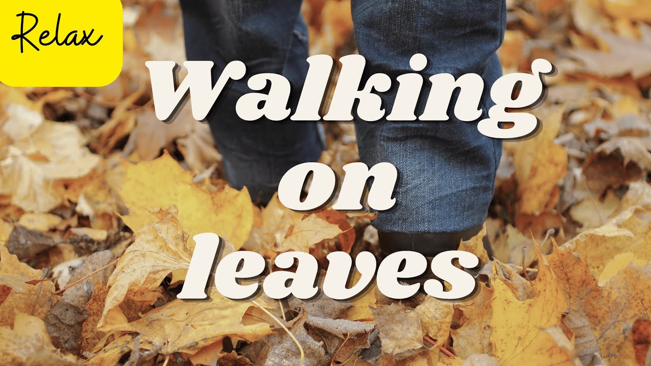 Walking On Leaves Sound Effects | Relaxing Leaves Rustling 1 Hour
