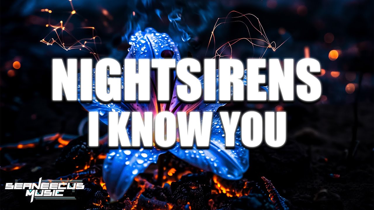 Nightsirens - I Know You (ft. Anica)