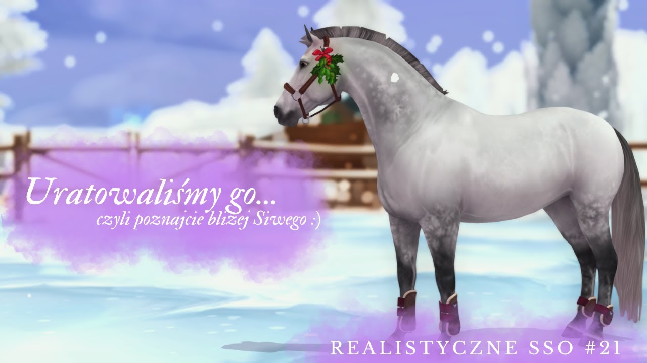Realistyczne SSO #21 || Uratowaliśmy go... Czyli poznajcie bliżej Siwego :)
